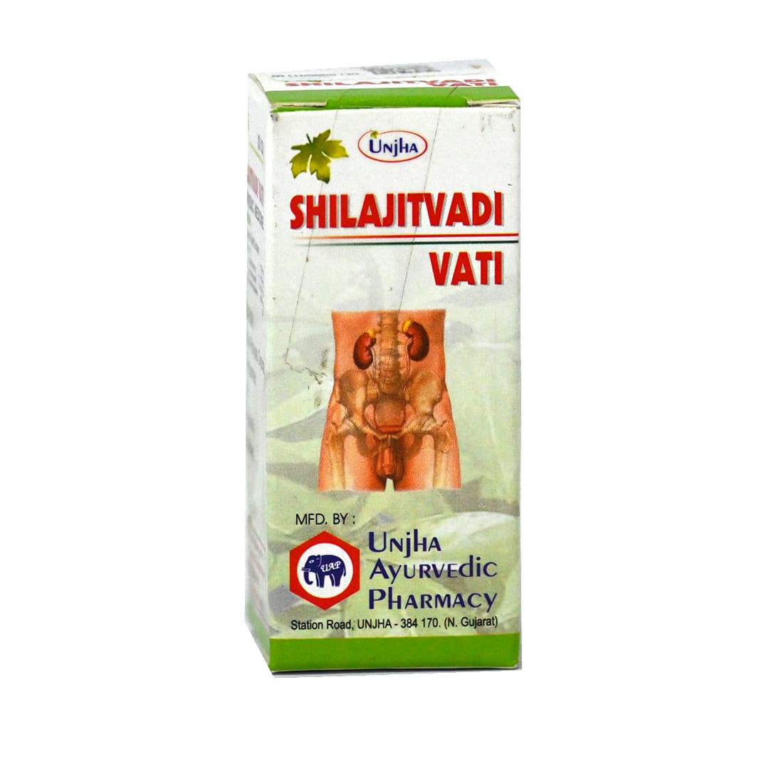 https://nirogprod.s3.ap-south-1.amazonaws.com/images/package/1685359599392ShilajitvadiVati.jpg
